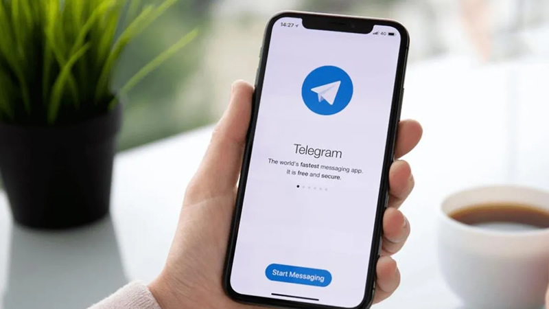 Telegram Brings Real-Time Message Translation in Latest Update